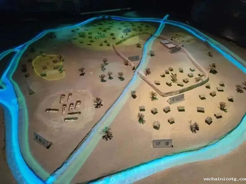 1421.jpg