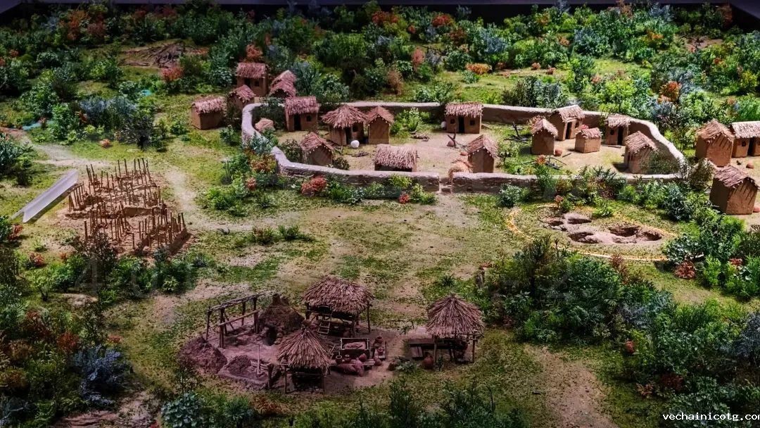 1424.jpg