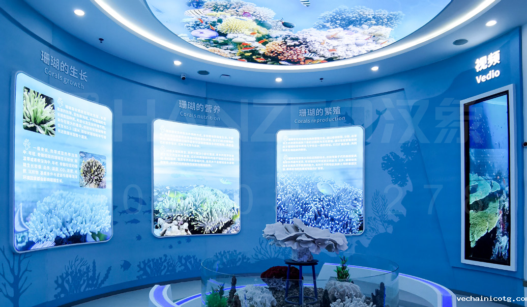 徐闻珊瑚礁3.png